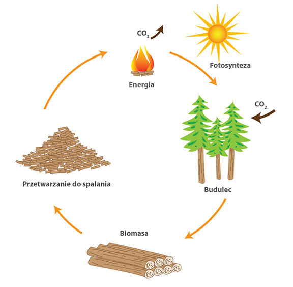 Biomasa jako źródło energii.