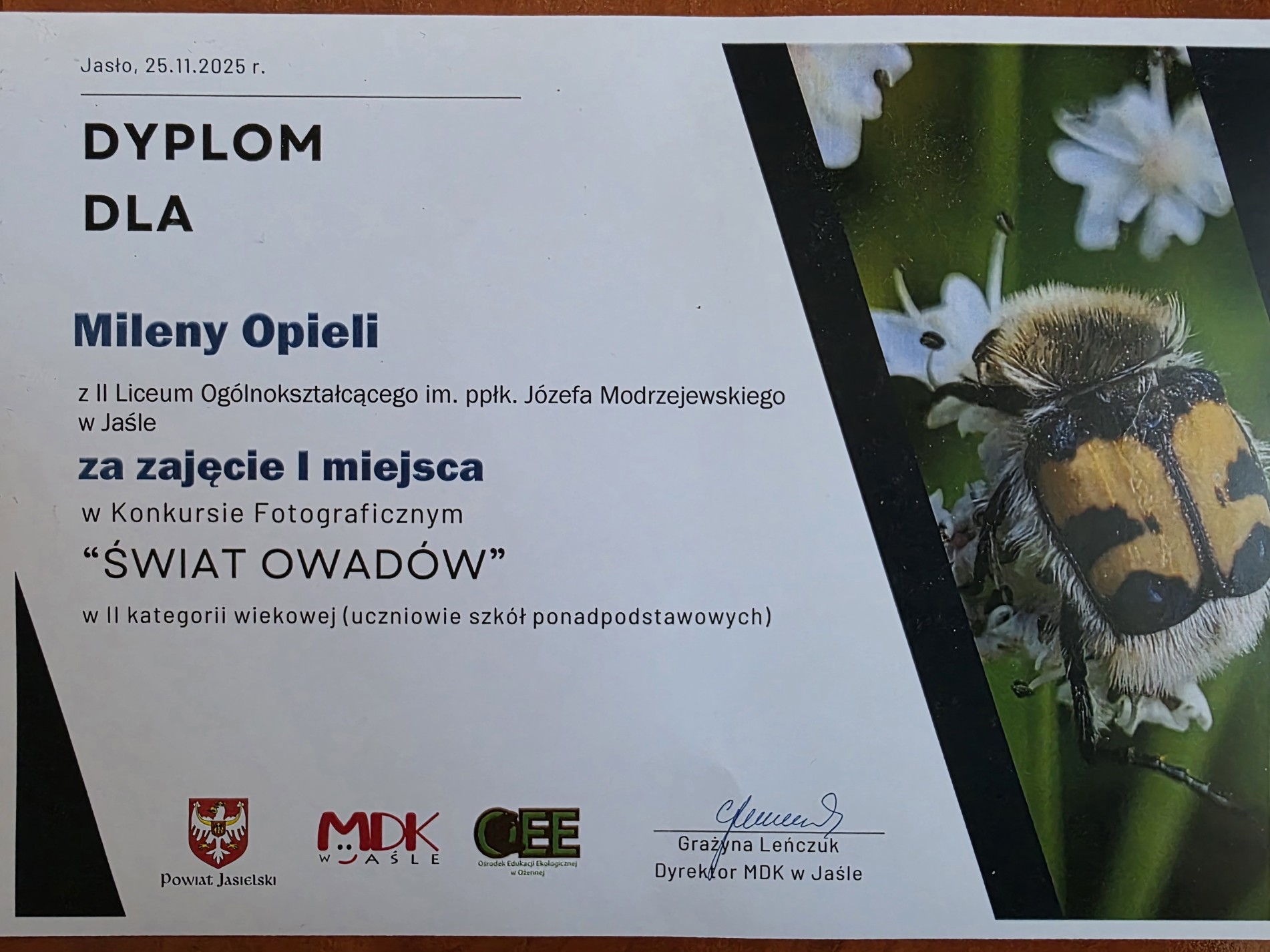 Sukces w Biologicznym Konkursie Fotograficznym „Świat owadów” i „Świat pajęczaków”.