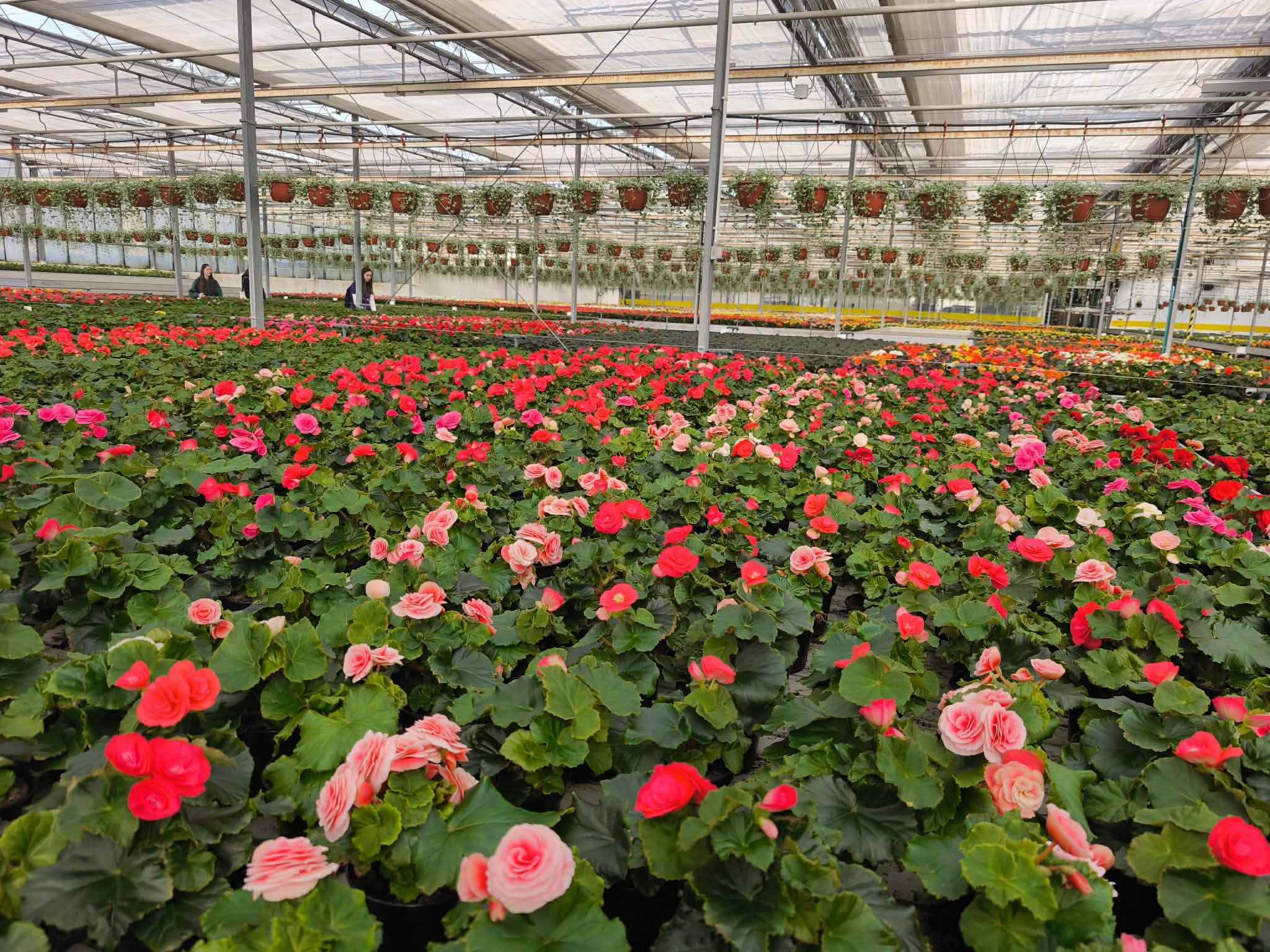 1b0acaba 2c8e 417f b8c2 d2523b31ca90